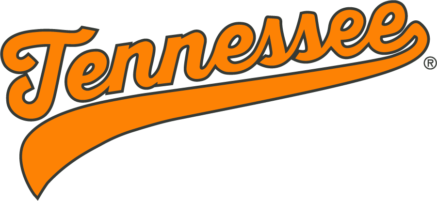 Tennessee Volunteers 2020-Pres Wordmark Logo v4 diy iron on heat transfer
